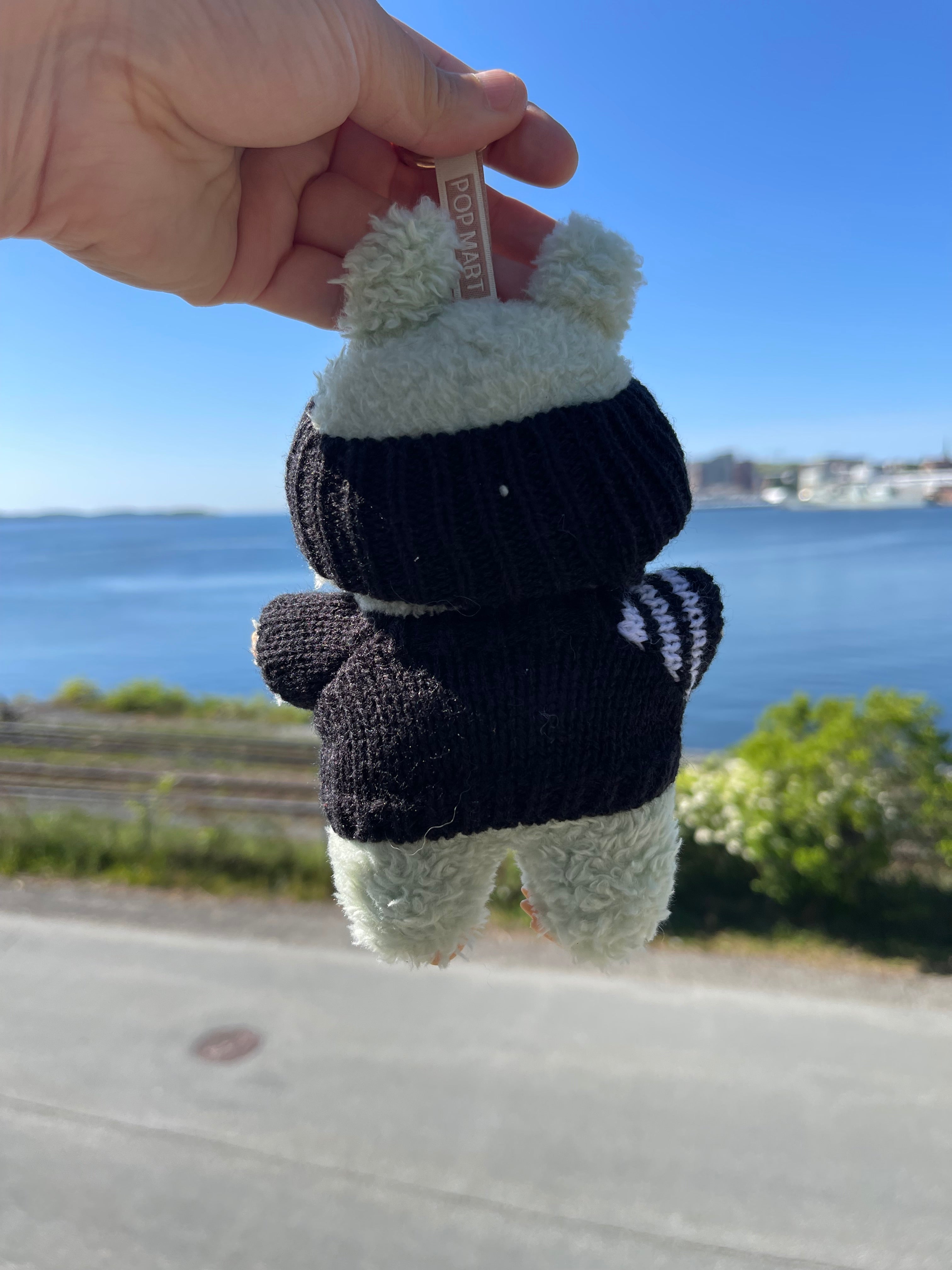 Black & White Knit Sweater w Hat