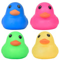 Colourful Duck