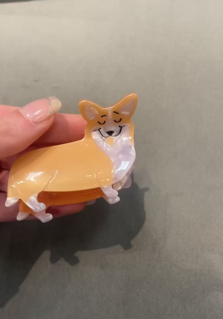Corgi