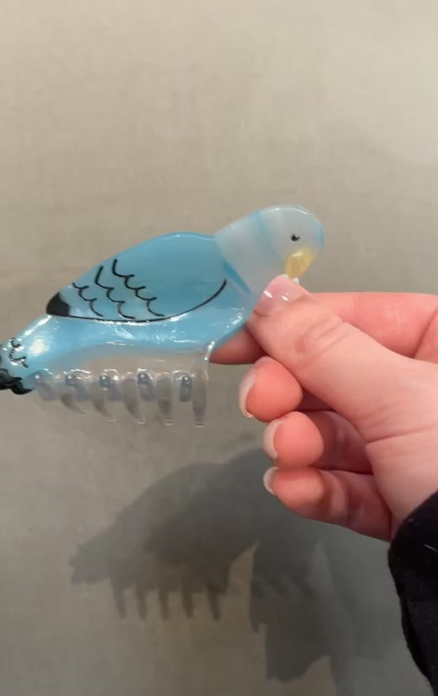 Blue Budgie