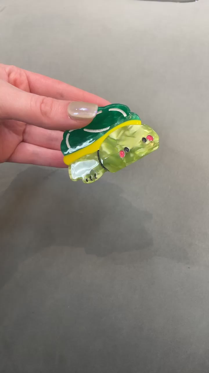 Turtle